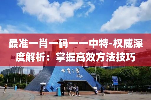最准一肖一码一一中特-权威深度解析：掌握高效方法技巧