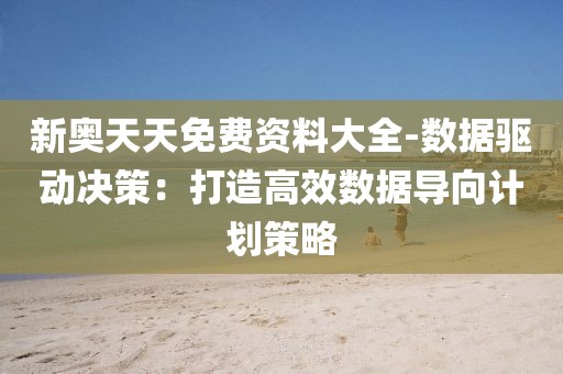 新奥天天免费资料大全-数据驱动决策：打造高效数据导向计划策略