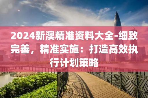 2024新澳精准资料大全-细致完善，精准实施：打造高效执行计划策略