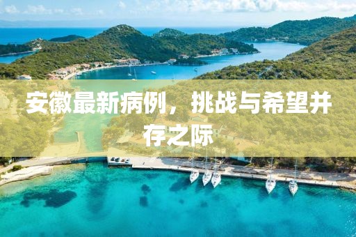 安徽最新病例，挑战与希望并存之际