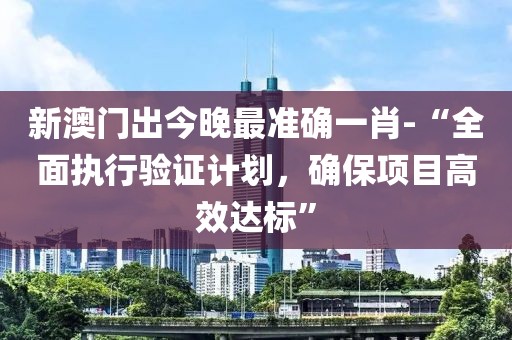 新澳门出今晚最准确一肖-“全面执行验证计划，确保项目高效达标”