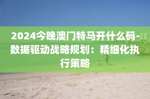 2024今晚澳门特马开什么码-数据驱动战略规划：精细化执行策略