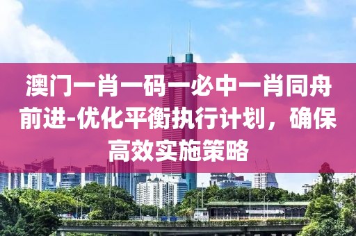 澳门一肖一码一必中一肖同舟前进-优化平衡执行计划，确保高效实施策略
