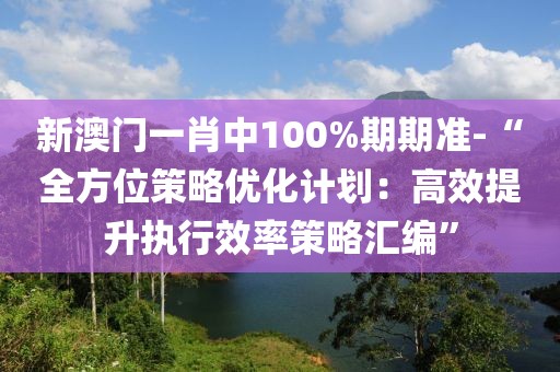 新澳门一肖中100%期期准-“全方位策略优化计划：高效提升执行效率策略汇编”