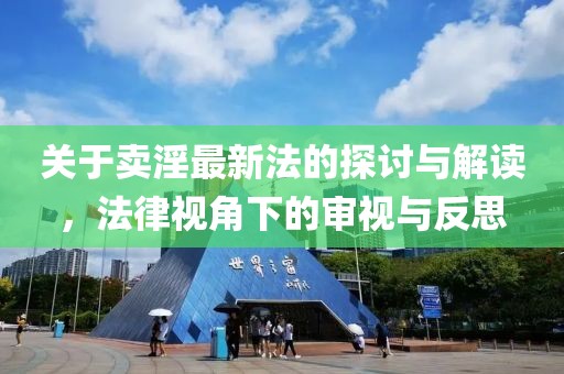 关于卖淫最新法的探讨与解读，法律视角下的审视与反思