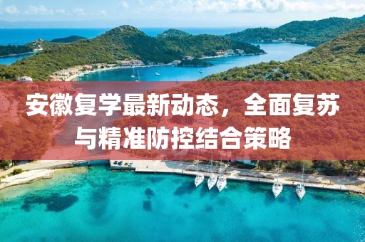 安徽复学最新动态，全面复苏与精准防控结合策略