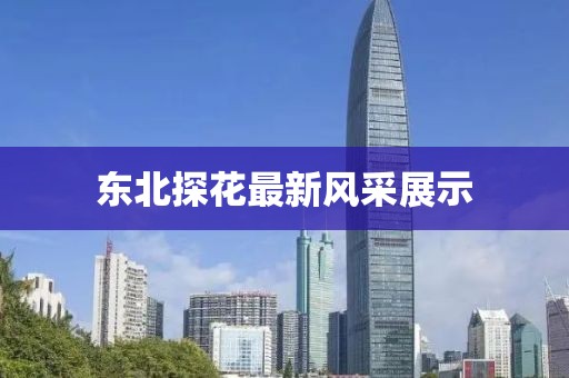 东北探花最新风采展示