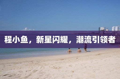 程小鱼，新星闪耀，潮流引领者
