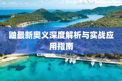 鼬最新奥义深度解析与实战应用指南