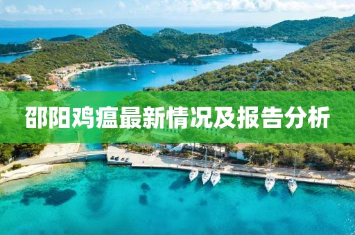 邵阳鸡瘟最新情况及报告分析