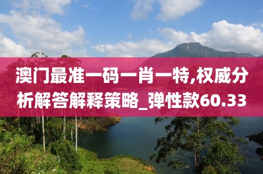 澳门最准一码一肖一特,权威分析解答解释策略_弹性款60.33