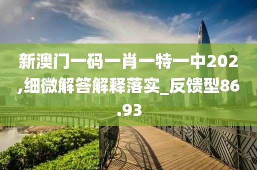 新澳门一码一肖一特一中202,细微解答解释落实_反馈型86.93