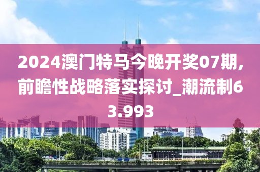 2024澳门特马今晚开奖07期,前瞻性战略落实探讨_潮流制63.993