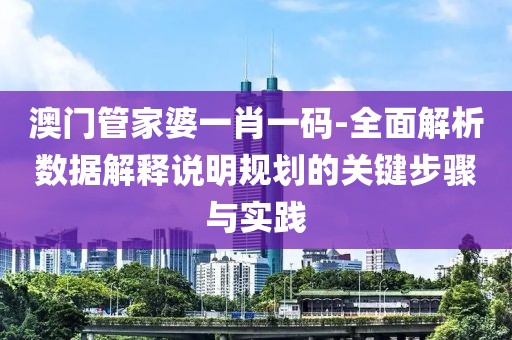 澳门管家婆一肖一码-全面解析数据解释说明规划的关键步骤与实践