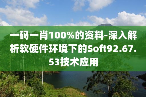 一码一肖100%的资料-深入解析软硬件环境下的Soft92.67.53技术应用