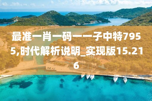 最准一肖一码一一子中特7955,时代解析说明_实现版15.216