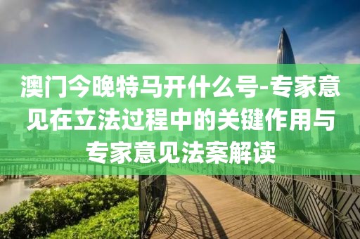 澳门今晚特马开什么号-专家意见在立法过程中的关键作用与专家意见法案解读
