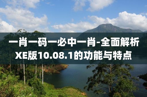 一肖一码一必中一肖-全面解析XE版10.08.1的功能与特点