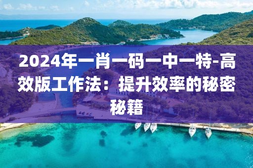 2024年一肖一码一中一特-高效版工作法：提升效率的秘密秘籍