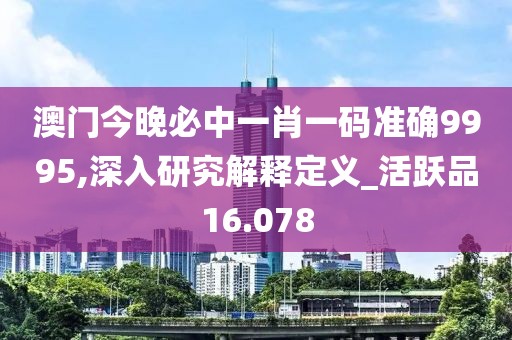 澳门今晚必中一肖一码准确9995,深入研究解释定义_活跃品16.078