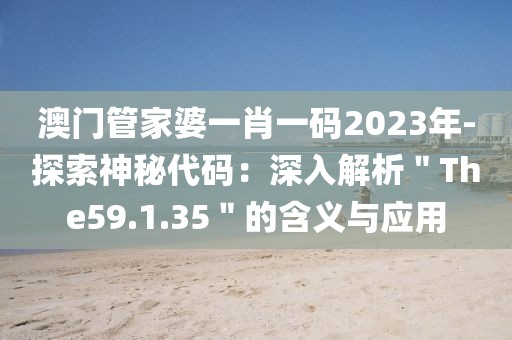 澳门管家婆一肖一码2023年-探索神秘代码：深入解析＂The59.1.35＂的含义与应用