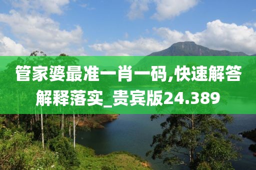 管家婆最准一肖一码,快速解答解释落实_贵宾版24.389
