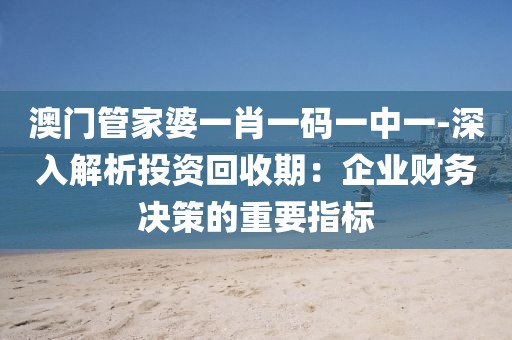 澳门管家婆一肖一码一中一-深入解析投资回收期：企业财务决策的重要指标