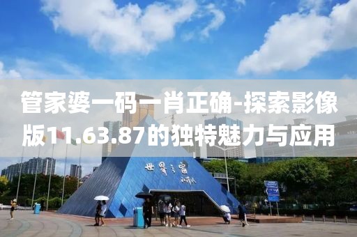 管家婆一码一肖正确-探索影像版11.63.87的独特魅力与应用