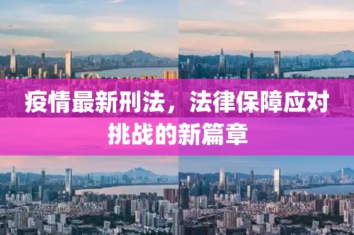 疫情最新刑法，法律保障应对挑战的新篇章