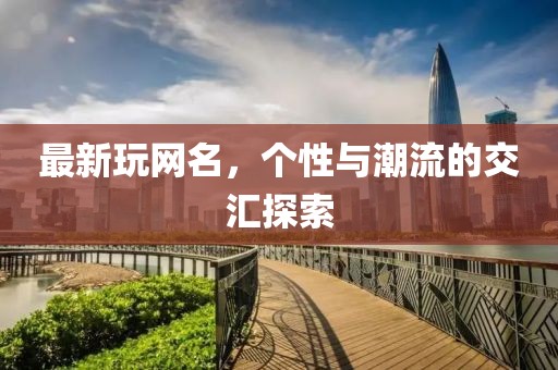 最新玩网名，个性与潮流的交汇探索