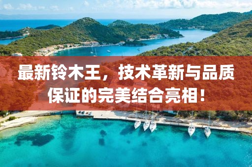 最新铃木王，技术革新与品质保证的完美结合亮相！