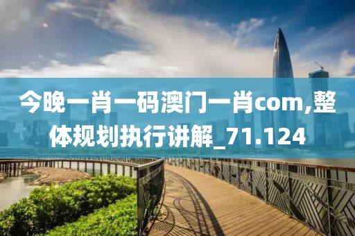 今晚一肖一码澳门一肖com,整体规划执行讲解_71.124