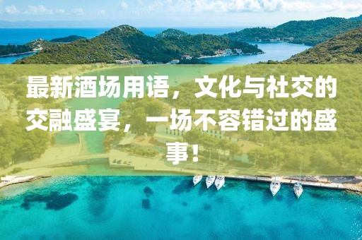 最新酒场用语，文化与社交的交融盛宴，一场不容错过的盛事！