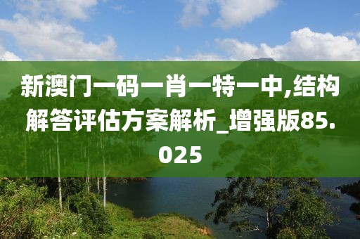 新澳门一码一肖一特一中,结构解答评估方案解析_增强版85.025