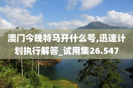 澳门今晚特马开什么号,迅速计划执行解答_试用集26.547