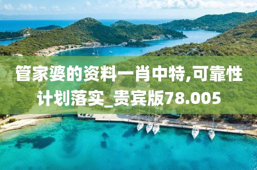管家婆的资料一肖中特,可靠性计划落实_贵宾版78.005