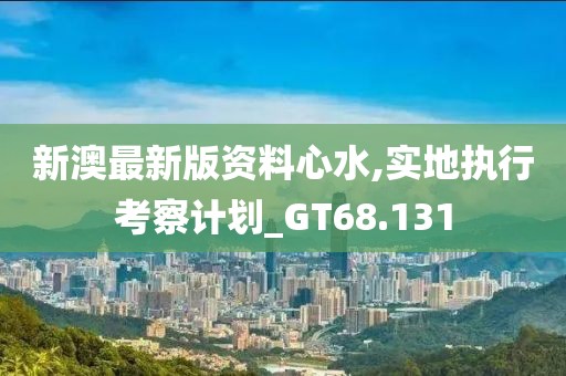 新澳最新版资料心水,实地执行考察计划_GT68.131