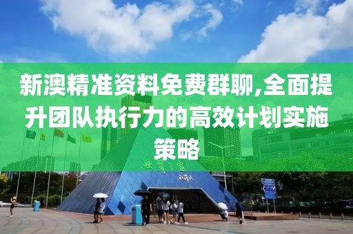 新澳精准资料免费群聊,全面提升团队执行力的高效计划实施策略