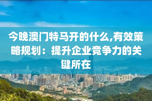 今晚澳门特马开的什么,有效策略规划：提升企业竞争力的关键所在