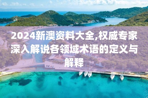 2024新澳资料大全,权威专家深入解说各领域术语的定义与解释