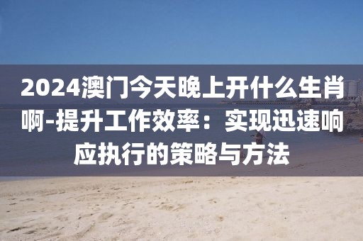 2024澳门今天晚上开什么生肖啊-提升工作效率：实现迅速响应执行的策略与方法