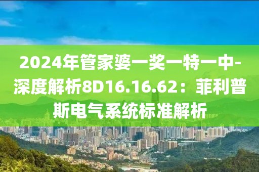 2024年管家婆一奖一特一中-深度解析8D16.16.62：菲利普斯电气系统标准解析