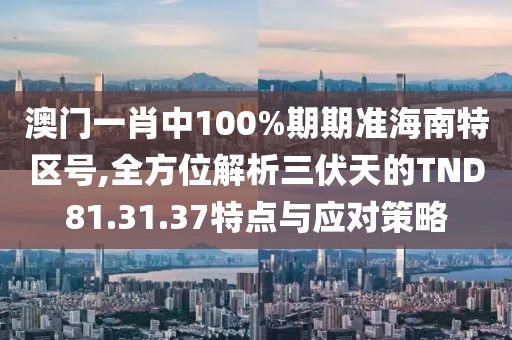 澳门一肖中100%期期准海南特区号,全方位解析三伏天的TND81.31.37特点与应对策略