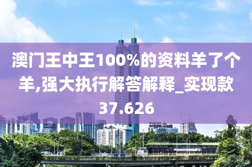澳门王中王100%的资料羊了个羊,强大执行解答解释_实现款37.626