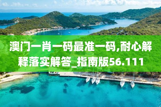 澳门一肖一码最准一码,耐心解释落实解答_指南版56.111
