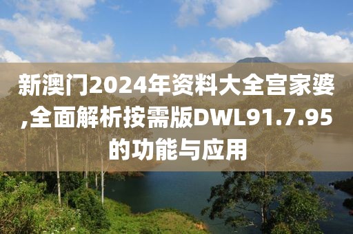 新澳门2024年资料大全宫家婆,全面解析按需版DWL91.7.95的功能与应用