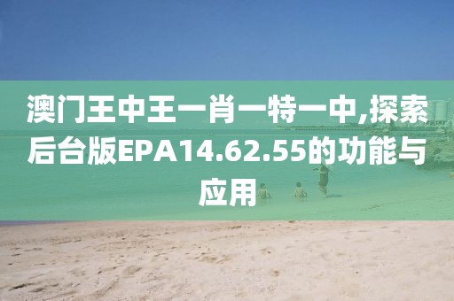 澳门王中王一肖一特一中,探索后台版EPA14.62.55的功能与应用