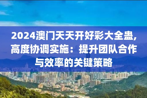 2024澳门天天开好彩大全蛊,高度协调实施：提升团队合作与效率的关键策略