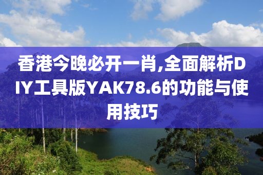 香港今晚必开一肖,全面解析DIY工具版YAK78.6的功能与使用技巧