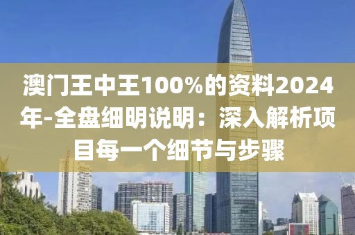 澳门王中王100%的资料2024年-全盘细明说明：深入解析项目每一个细节与步骤